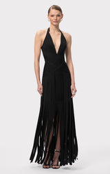 THE SCARLET GOWN