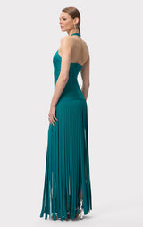 THE SCARLET GOWN