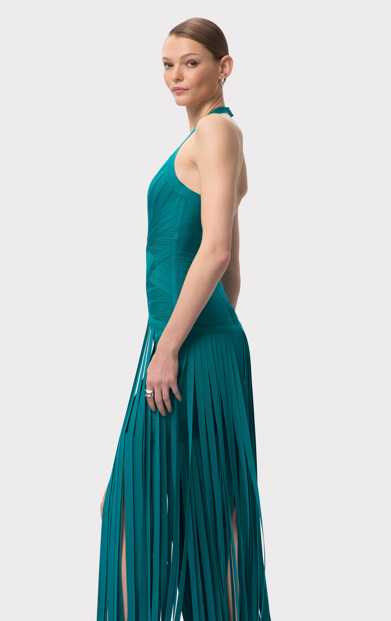 THE SCARLET GOWN