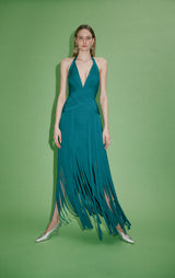 THE SCARLET GOWN